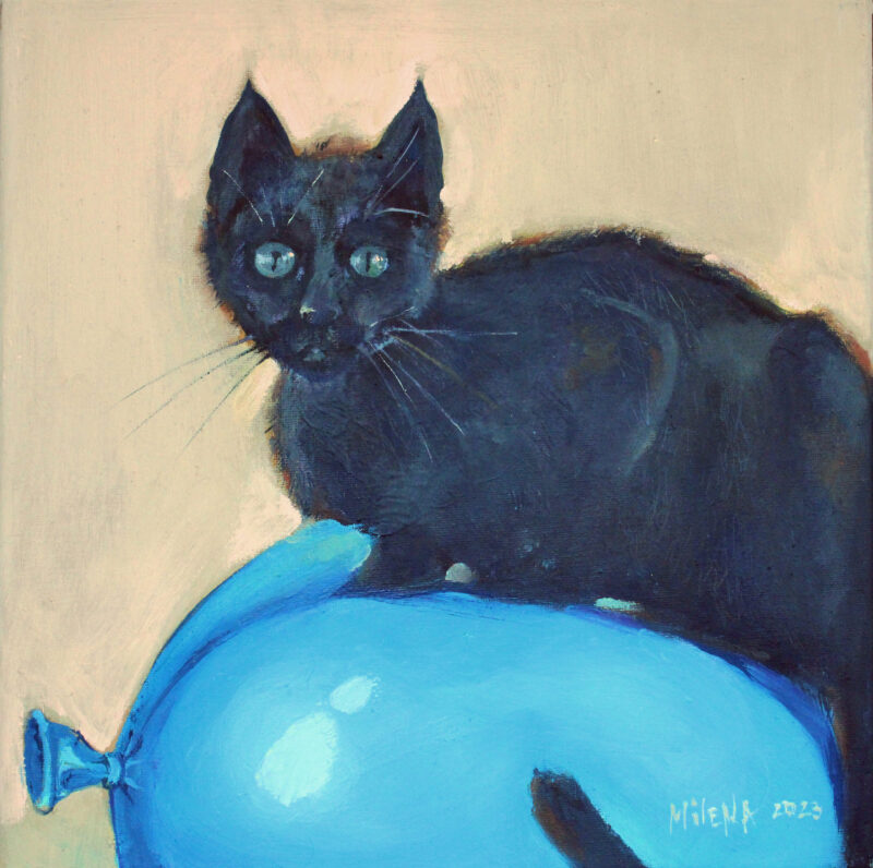 Cat on balloon